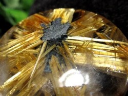 太陽タイチンゴールドルチル