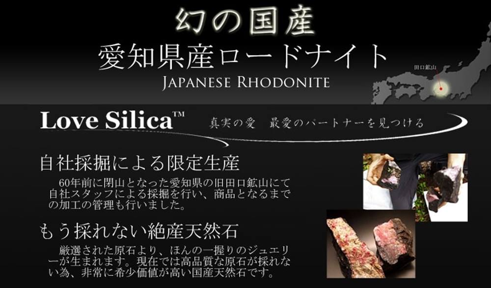 愛知県産ロードナイト