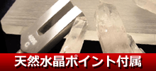 ꥹ塼ʡ