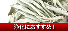 ۥ磻ȥ