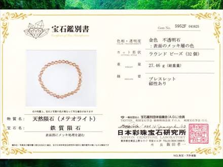 鑑別書付き】◇希少レア！本物◇約4億5千万年前のミステリアスな