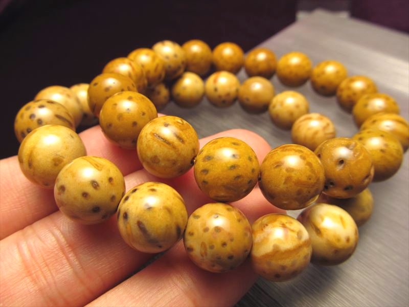 ◇限定入荷！◇木の化石◇激安！1本1500円◇ペトリファイド