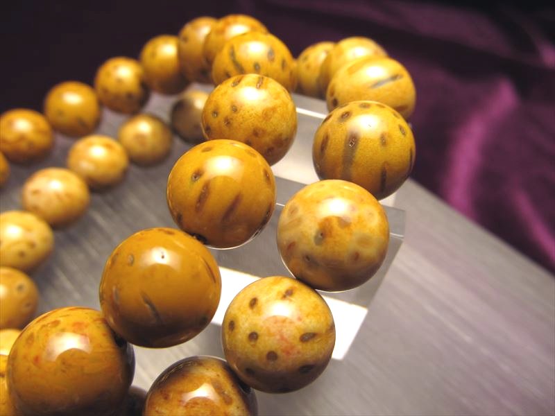 ◇限定入荷！◇木の化石◇激安！1本1500円◇ペトリファイド