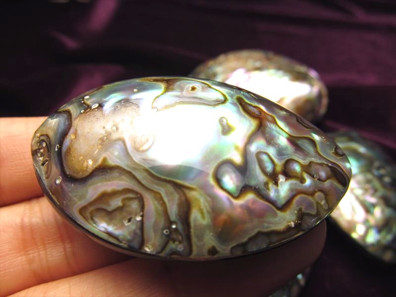 ☆Mサイズ☆虹色光沢！レインボーカラーの天然貝☆ニュージーランド産