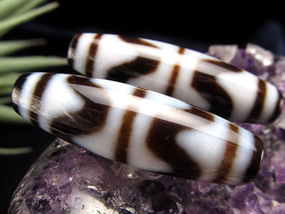 四線虎牙天珠 至純天珠 天珠 天珠卸 てんじゅ