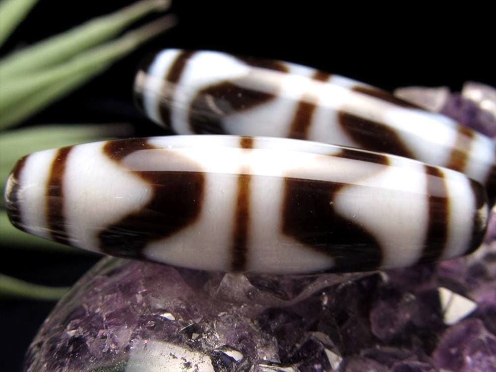 四線虎牙天珠 至純天珠 天珠 天珠卸 てんじゅ