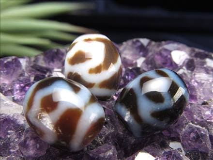 小天珠水蓮花天珠 至純天珠 天珠 小天珠 てんじゅ