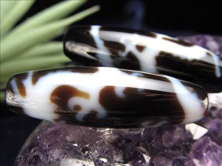 龍神三本爪天珠 至純天珠 天珠 天珠卸 てんじゅ