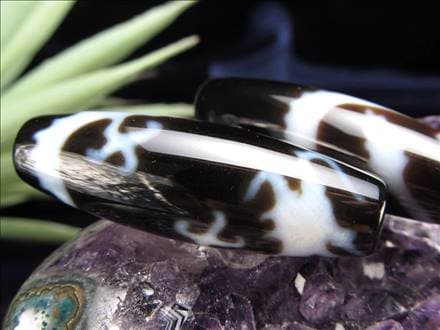 龍神三本爪天珠 至純天珠 天珠 天珠卸 てんじゅ