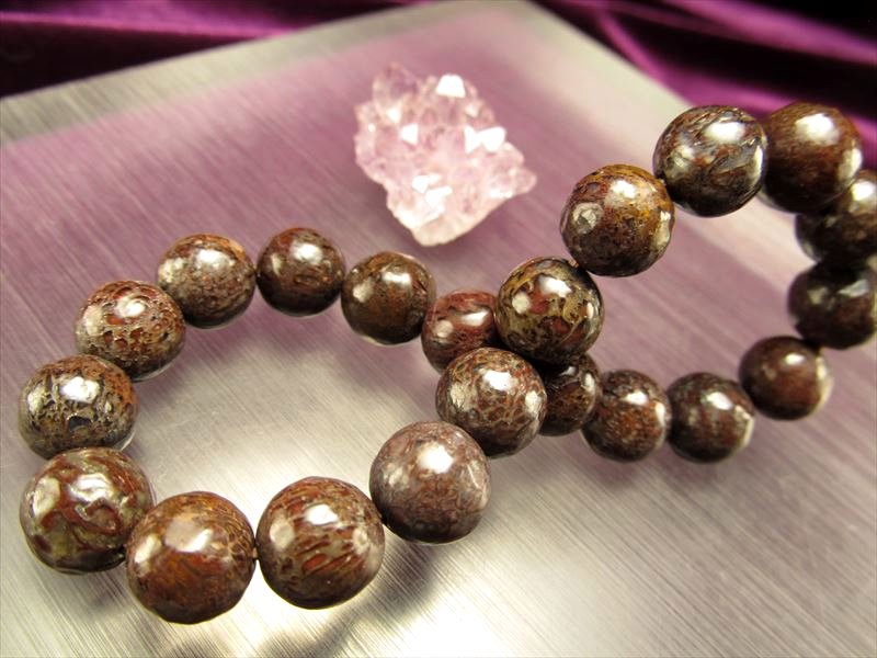 ◇限定4本のみ!!◇ツーソン展示会商品◇激レア！恐竜の骨の化石◇1点物