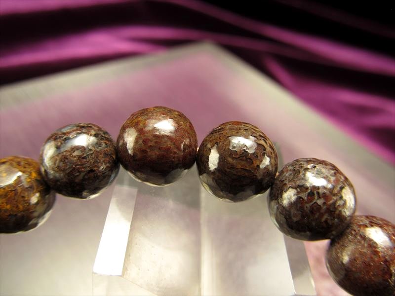 ◇限定4本のみ!!◇ツーソン展示会商品◇激レア！恐竜の骨の化石◇1点物