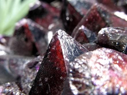 アメジスト 紫水晶 クラスター インド マハーラーシュトラ州産 原石
