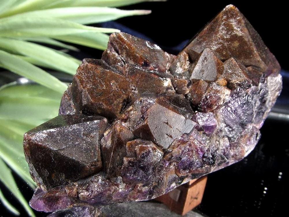 アメジスト 紫水晶 クラスター インド・マハーラーシュトラ州産 原石