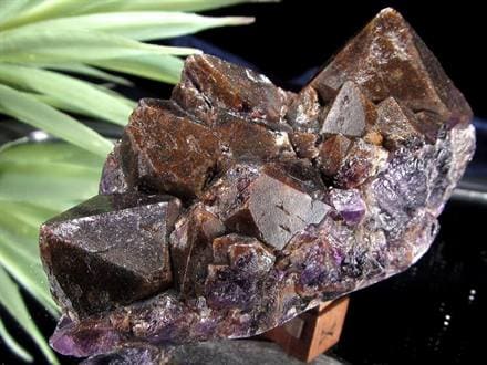 アメジスト 紫水晶 クラスター インド・マハーラーシュトラ州産 原石