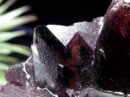 アメジスト 紫水晶 クラスター インド・マハーラーシュトラ州産 原石