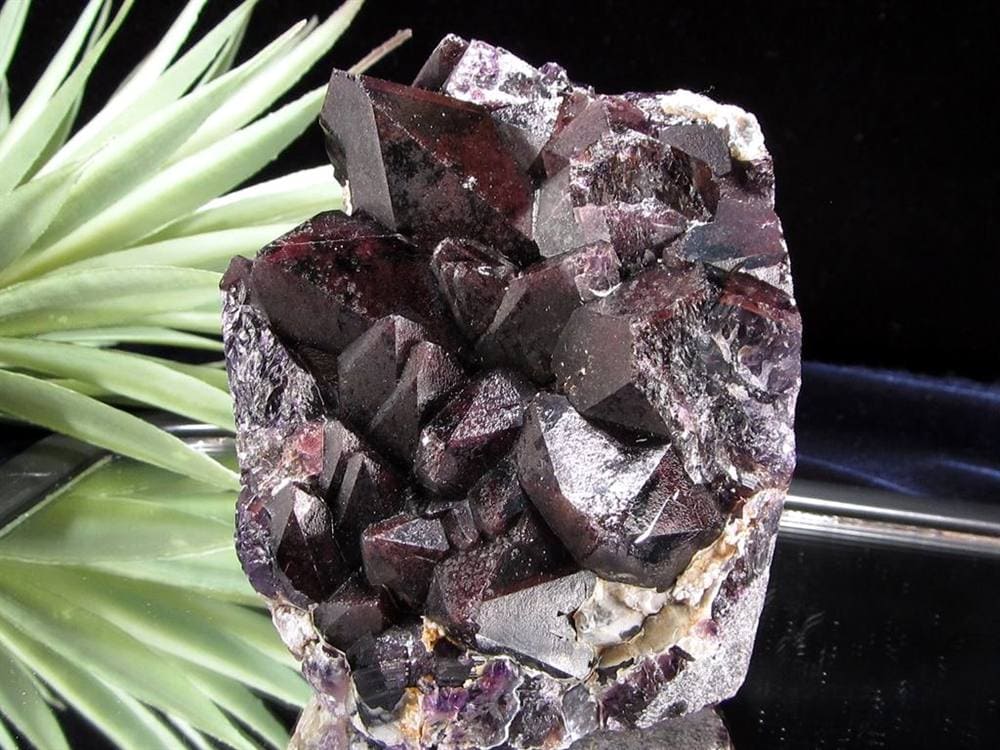 アメジスト 紫水晶 クラスター インド・マハーラーシュトラ州産 原石