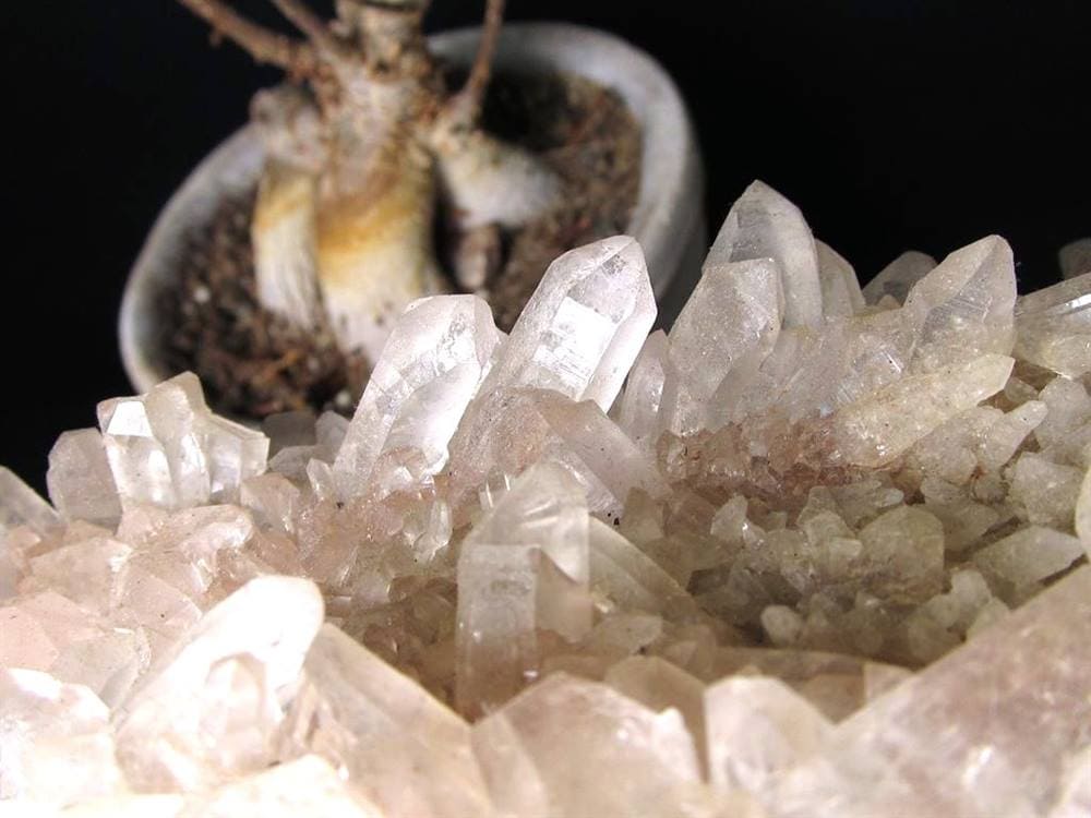 マニカランクォーツ 原石 水晶 マニカラン産 クラスター