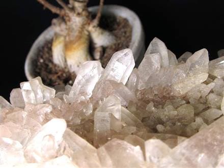 マニカランクォーツ 原石 水晶 マニカラン産 クラスター