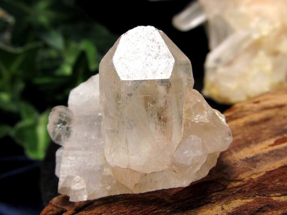 マニカランクォーツ 原石 水晶 マニカラン産 クラスター