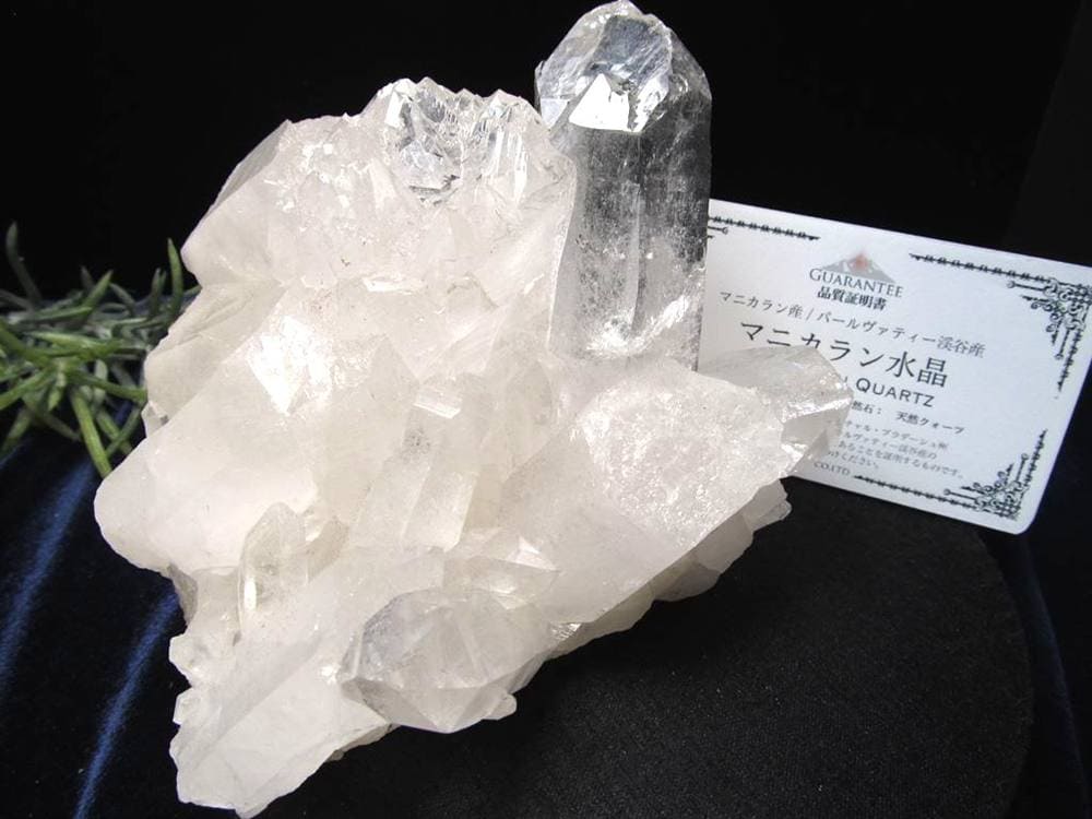 マニカランクォーツ 原石 水晶 マニカラン産 クラスター