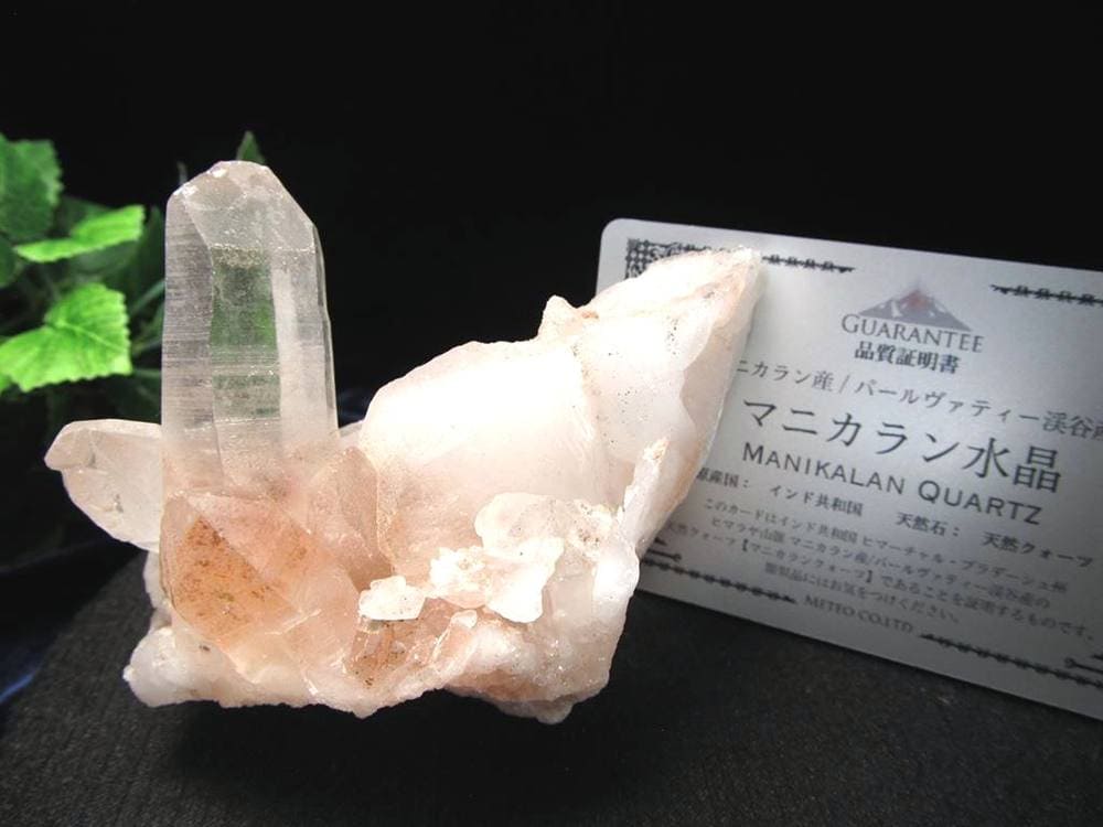 マニカランクォーツ 原石 水晶 マニカラン産 クラスター