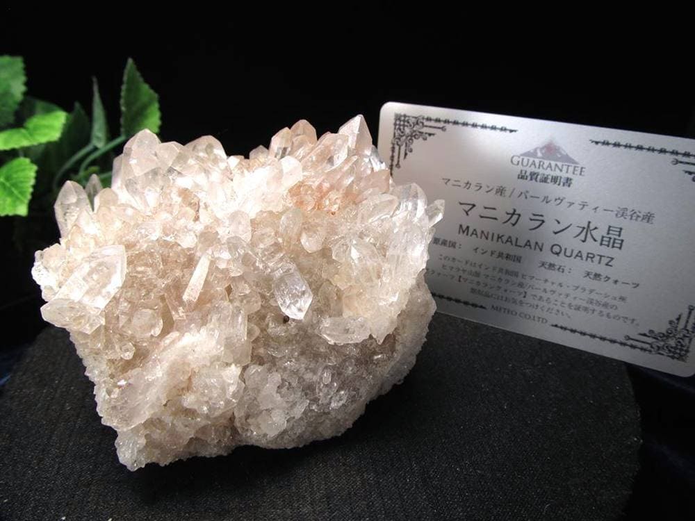 マニカランクォーツ 原石 水晶 マニカラン産 クラスター