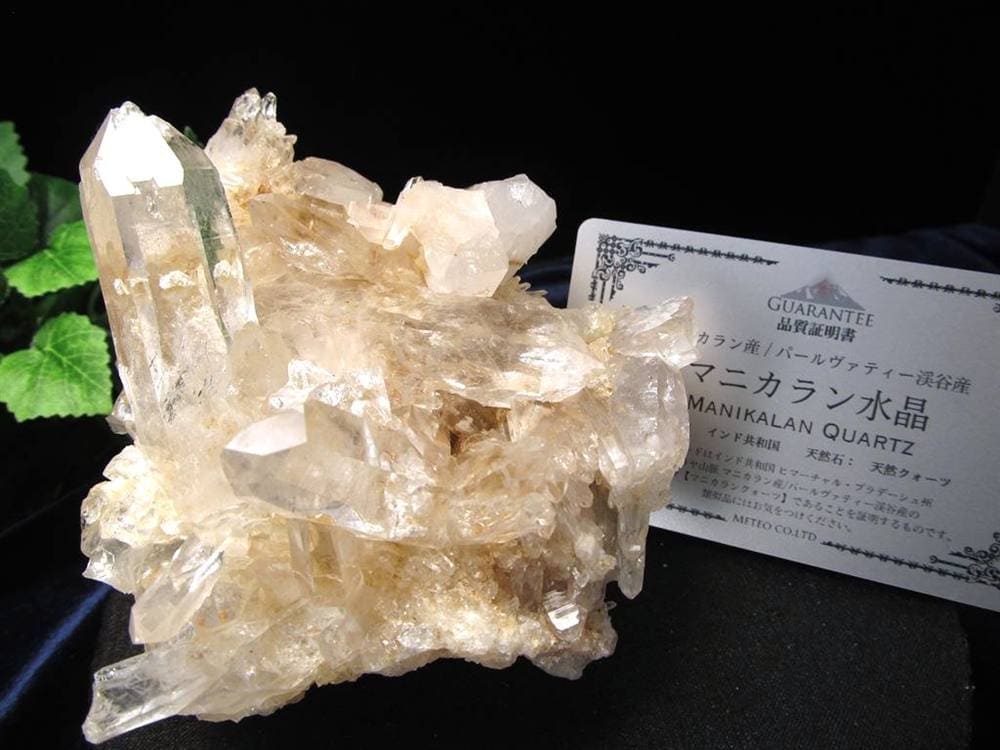 マニカランクォーツ 原石 水晶 マニカラン産 クラスター