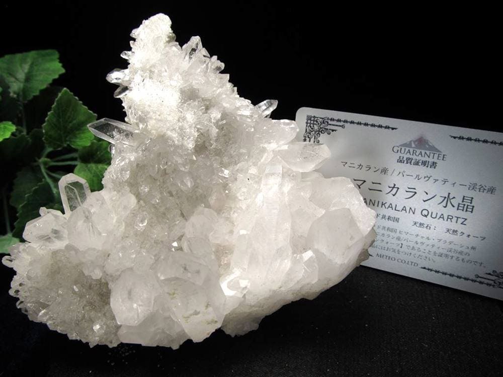 マニカランクォーツ 原石 水晶 マニカラン産 クラスター