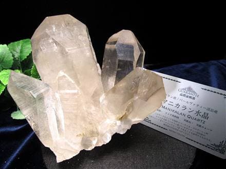 マニカランクォーツ 原石 水晶 マニカラン産 クラスター