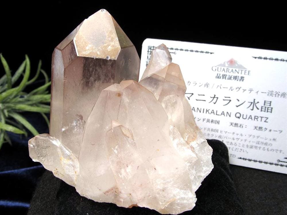 マニカランクォーツ 原石 水晶 マニカラン産 クラスター
