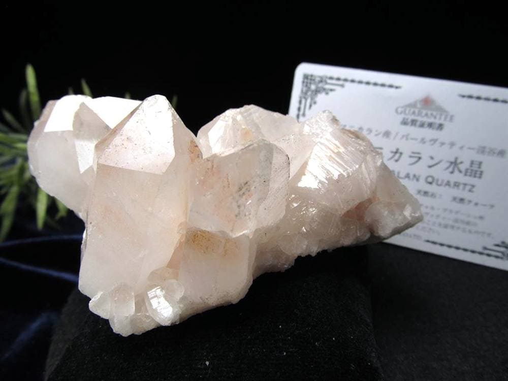 マニカランクォーツ 原石 水晶 マニカラン産 クラスター