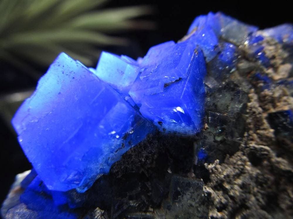フローライト 原石 結晶 イングランド産 ダイアナマリア鉱山