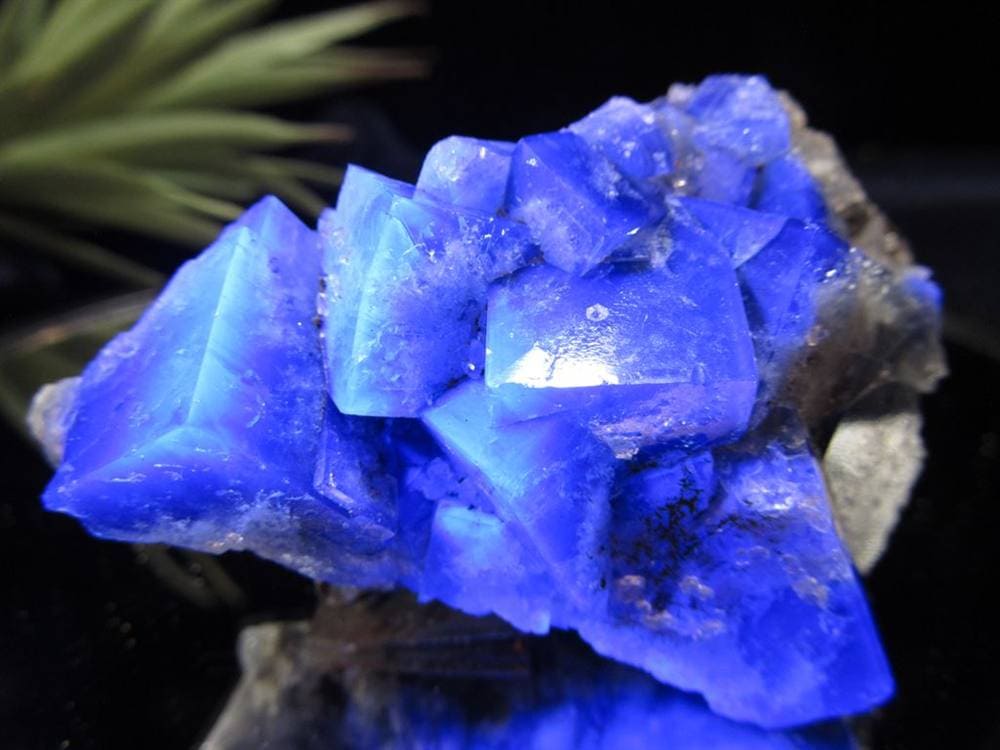 フローライト 原石 結晶 イングランド産 ダイアナマリア鉱山