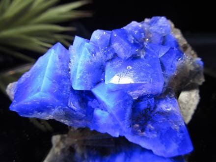 フローライト 原石 結晶 イングランド産 ダイアナマリア鉱山