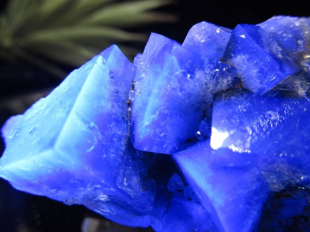 フローライト 原石 結晶 イングランド産 ダイアナマリア鉱山