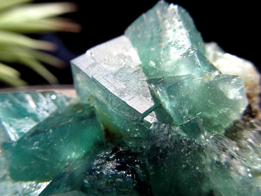 フローライト 原石 結晶 イングランド産 ダイアナマリア鉱山