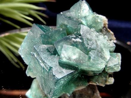 フローライト 原石 結晶 イングランド産 ダイアナマリア鉱山