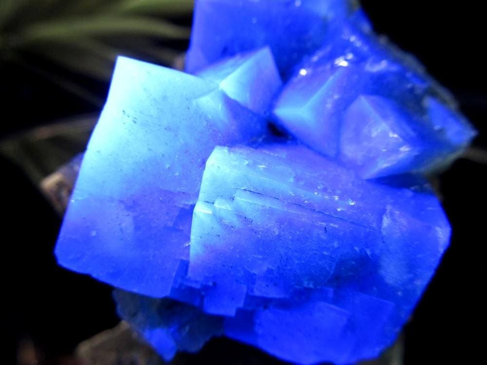 フローライト 原石 結晶 イングランド産 ダイアナマリア鉱山