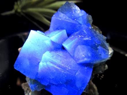 フローライト 原石 結晶 イングランド産 ダイアナマリア鉱山
