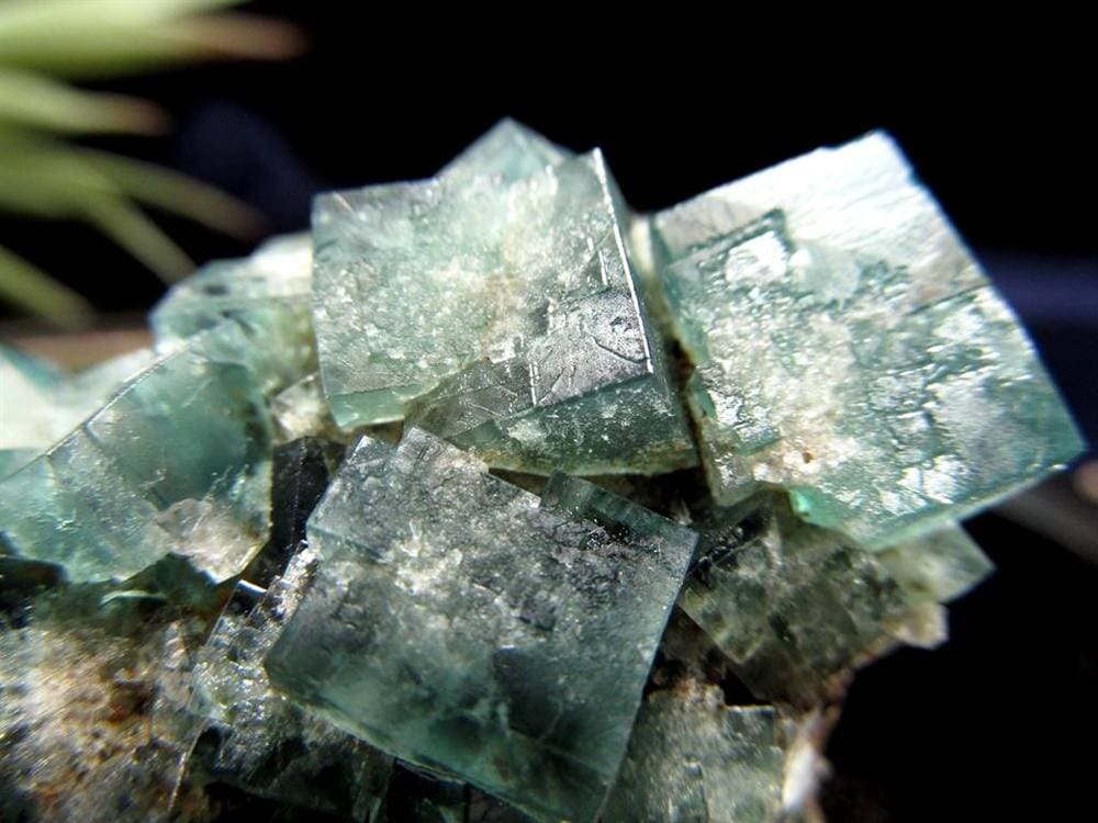 フローライト 原石 結晶 イングランド産 ダイアナマリア鉱山