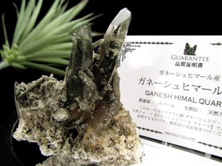 ガネーシュヒマール水晶 ヒマラヤ水晶 水晶クラスター 原石 ガネーシュヒマール ガネーシャ