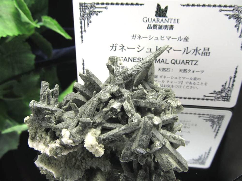 ガネーシュヒマール水晶 ヒマラヤ水晶 水晶クラスター 原石 ガネーシュヒマール ガネーシャ