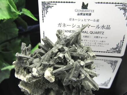 ガネーシュヒマール水晶 ヒマラヤ水晶 水晶クラスター 原石 ガネーシュヒマール ガネーシャ