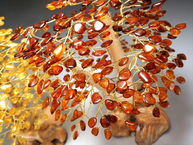 アンバーツリー