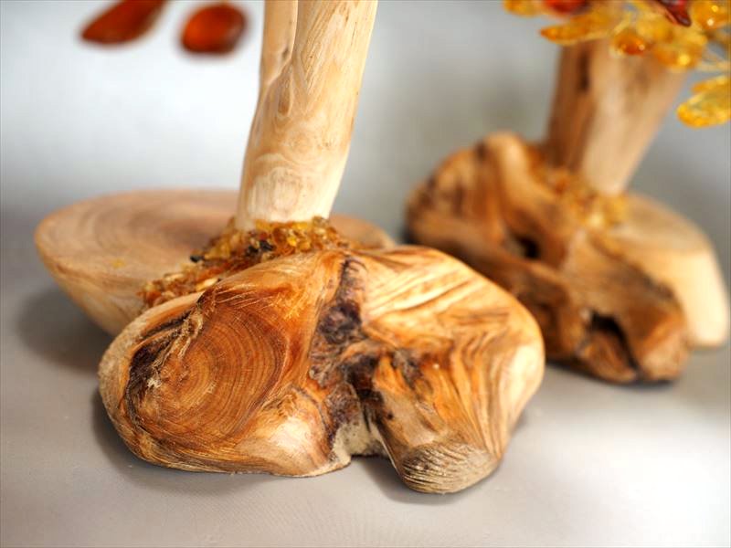 アンバーツリー