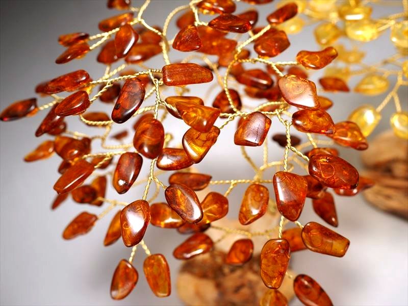 アンバーツリー