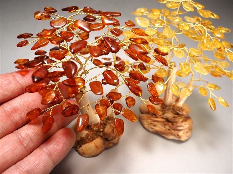 アンバーツリー