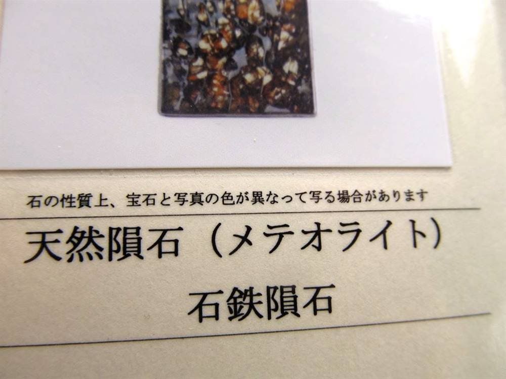 パラサイト隕石 アクセサリー ペンダントトップ 隕石 石鉄隕石