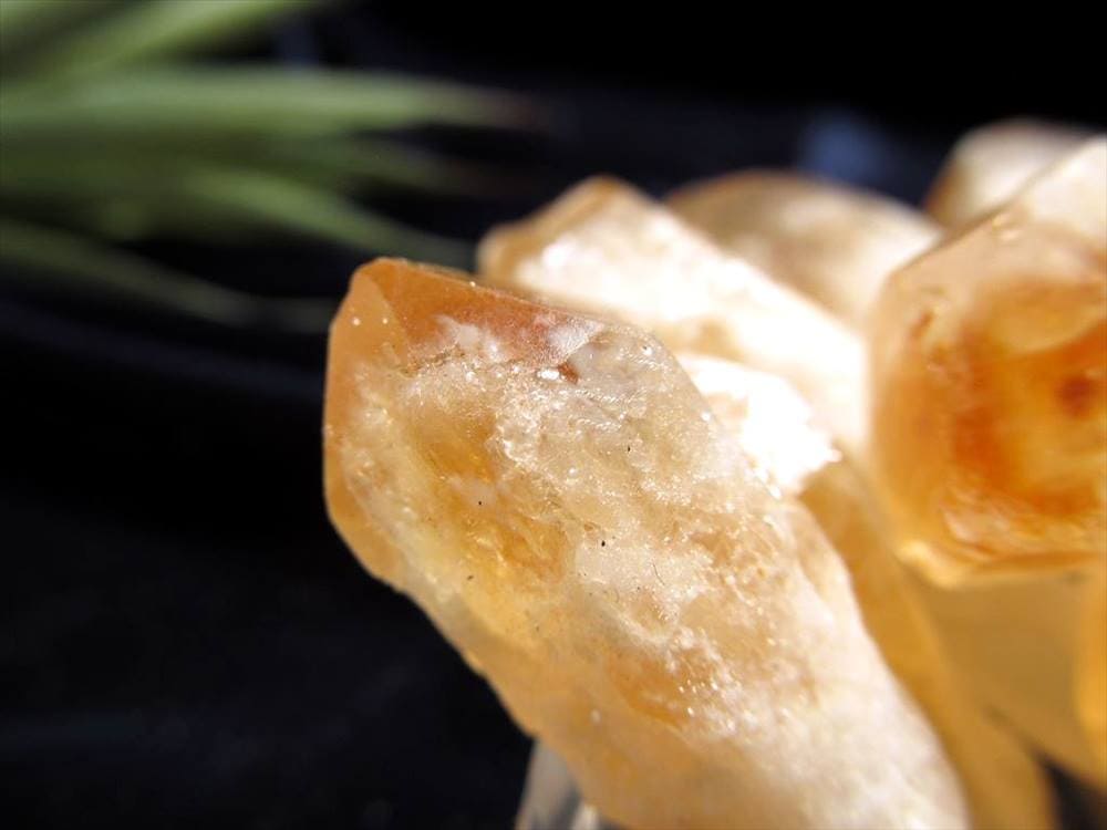 原石 ナチュラル ファントム シトリン 詰め合わせ