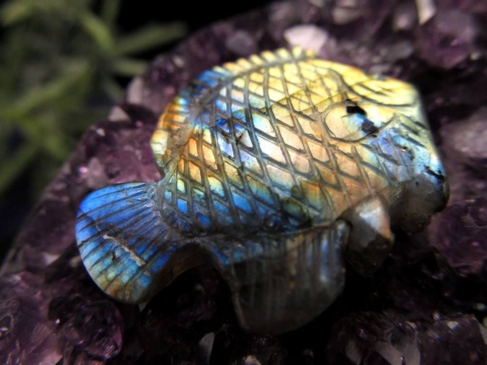 ディスカス 置物 ラブラドライト 熱帯魚の王様 彫刻